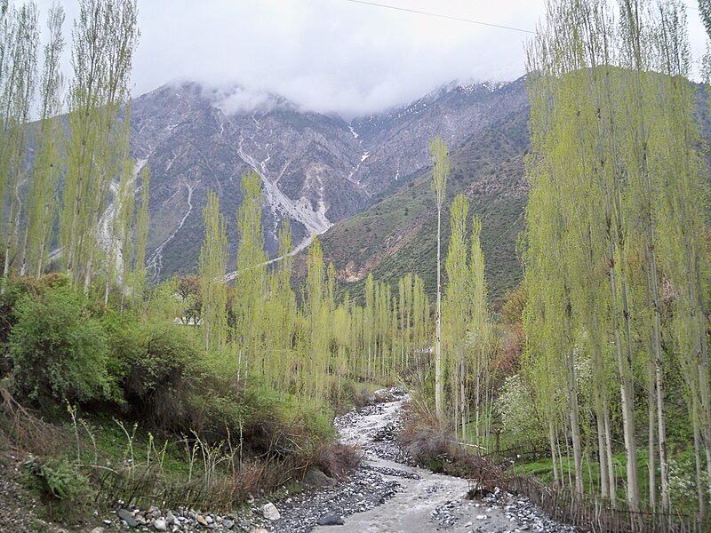 File:Turkestan mountains near Ozgurush.jpg