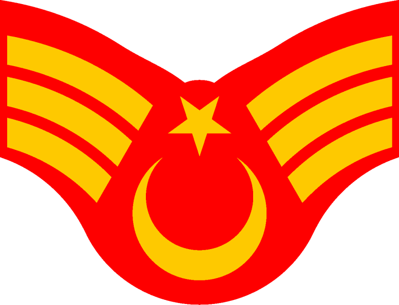 File:Turkish Cypriot Security Force OR-5b.svg