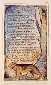 William Blake's "The Tyger", published in his Songs of Innocence and of Experience, is a work of Romanticism Tyger.jpg