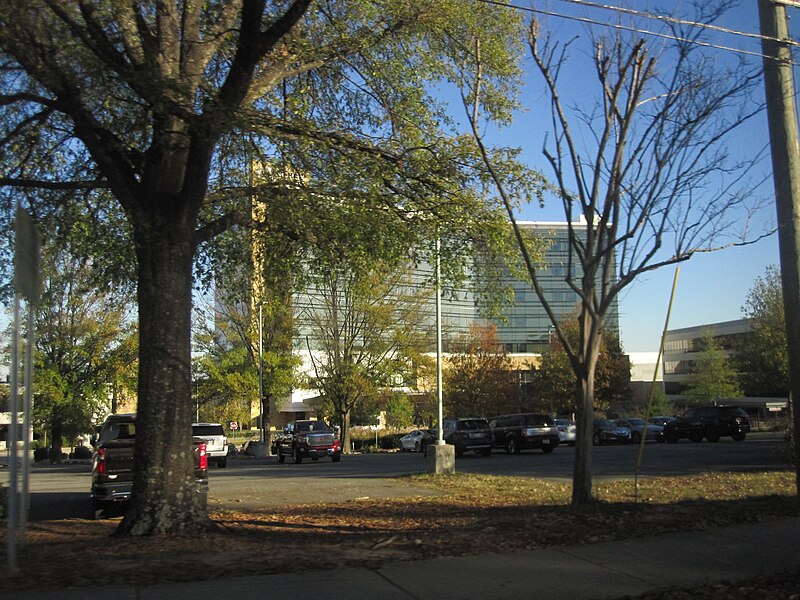 File:UNC REX Hospital behind Trees.jpg