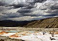 49 Upper Terraces of Mammoth Hot Springs created, uploaded and nominated by Mbz1
