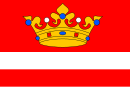 Flagge von Vítějeves
