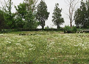 Bu görüntünün açıklaması, aşağıda da yorumlanmıştır