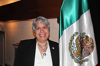 <span class="mw-page-title-main">Veronica Serrato</span> American immigration lawyer