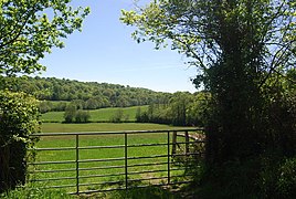 View east from Higham Lane - geograph.org.uk - 2037303.jpg