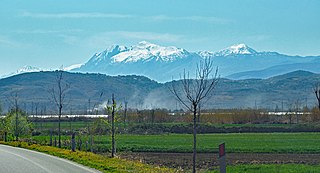<span class="mw-page-title-main">Griba</span> Mountain in Albania