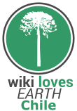 WLE Chile Logo tentativo.svg