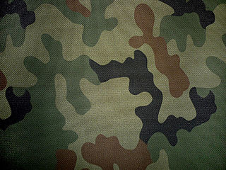 <span class="mw-page-title-main">Wz. 93 Pantera</span> Polish camouflage scheme