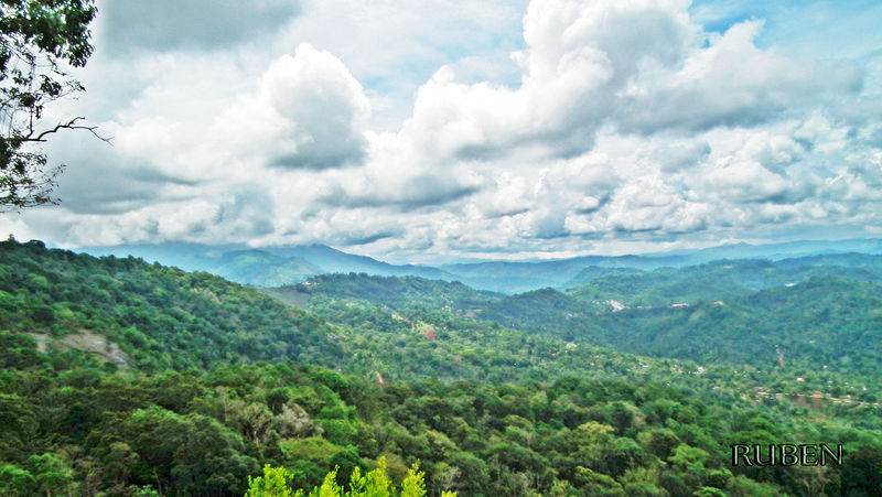 File:Way to Munnar 2.jpg