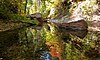 Oak Creek in Oak Creek Canyon