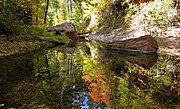 West Fork of Oak Creek, reflections