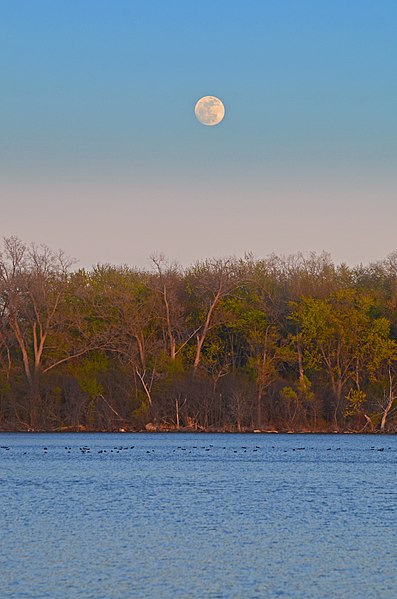 File:Wingra moonrise.jpg