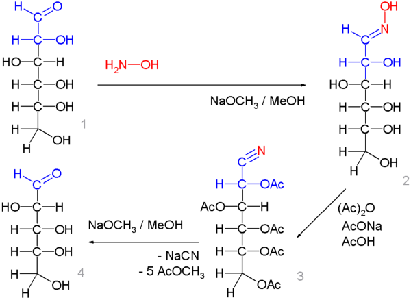 osazone glucose structure WikiVisually Wohl  degradation