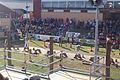 Woodchopping at 2005 Royal Adelaide Show