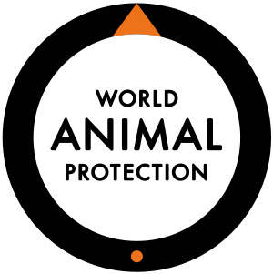 Animal Welfare