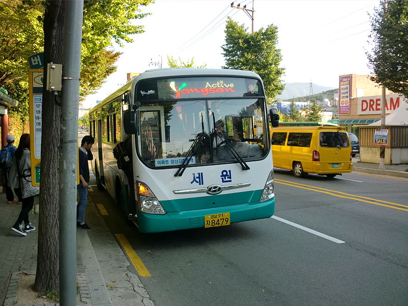 File:Yangsan Bus 8479.JPG