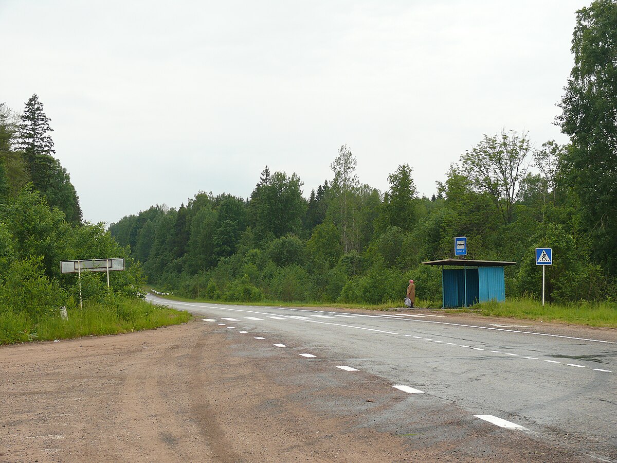 Деревня Зорька Новгородская область. Деревня Зорька Крестецкий район. Деревня Борок Крестецкий район Новгородская область. Крестецкий район Новгородской.