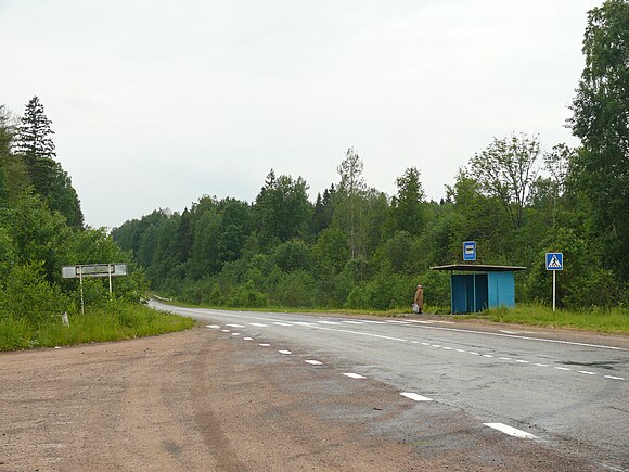 Борки новгородская область