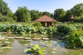 Temple du Lotus aux jardins des Martels Jardins des Martels.