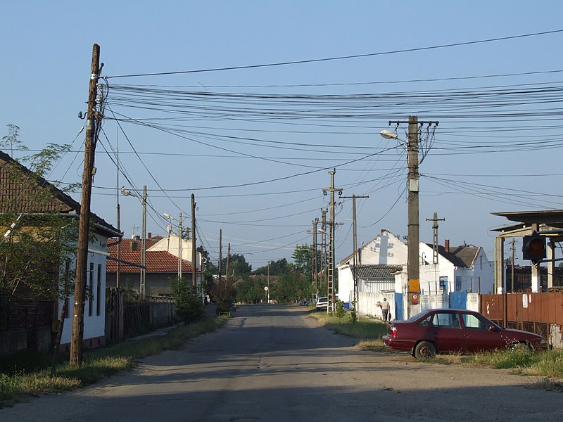 File:Érmihályfalva (Valea lui Mihai) - street.JPG