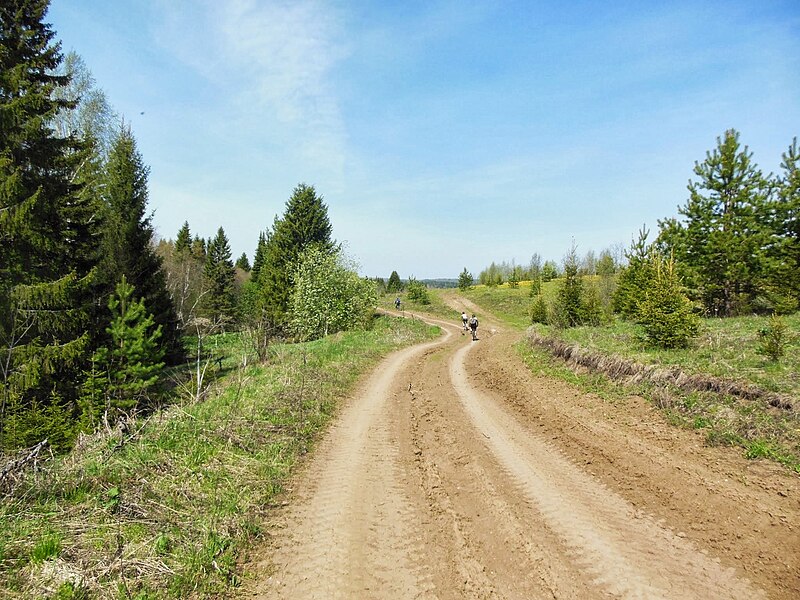 File:Дорога к Ерошино, конец мая 2013 - panoramio (3).jpg