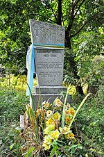 Могила громадського і військового діяча В. Оскілка, с. Хотин, північна частина кладовища.jpg