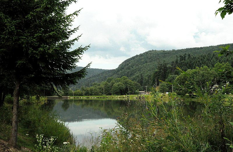 File:Озеро поруч із с. Сколе 01.jpg