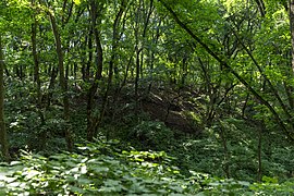 La réserve naturelle de Starovichnevetskiï, classée patrimoine naturel[3]