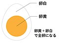 2020年12月2日 (水) 01:39時点における版のサムネイル