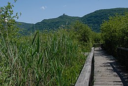 003 - La passerelle longue et facile, sur laquelle (il est obligatoire d'y rester) il est permis d'entrer.jpg