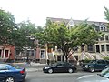 A nice looking set of row houses along 1187-1199 Bergen Street.