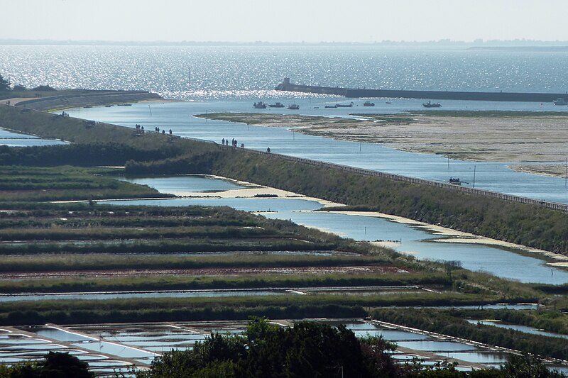 File:140 - Vue sur le marais de Müllembourg - Noirmoutier.jpg