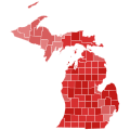 1946 United States Senate Election in Michigan by County