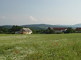 Изображение в информационном окне.