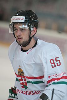 Karol Csányi Slovak ice hockey player