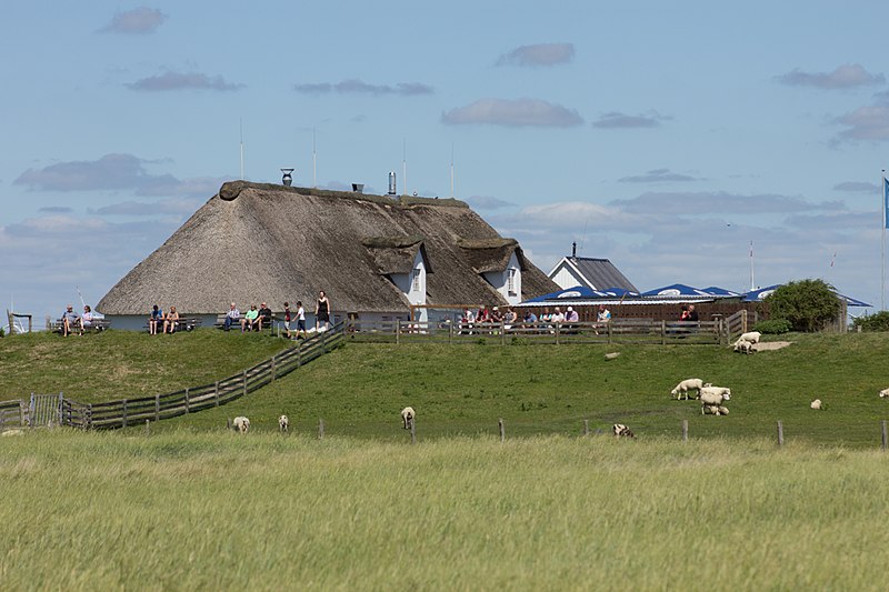 File:2017-07-09 Schleswig-Holstein by Olaf Kosinsky-44.jpg