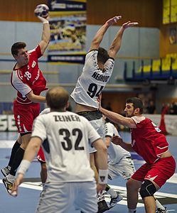 20170114 Handball AUT SUI DSC 9676.jpg