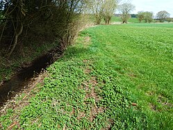 Field margins in Upper Swabia