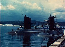 Tautog in Subic Bay, Philippines 639 Subic Bay.jpg