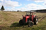 Thumbnail for File:A Little Red Fergie - geograph.org.uk - 768533.jpg