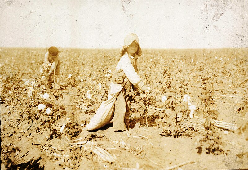 File:A five-year-old boy picking cotton in Comanche Country, Oklahoma.jpg
