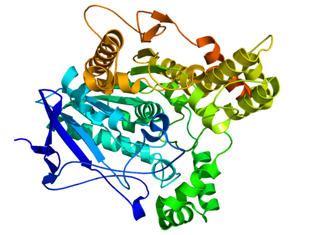 Estructura tridimensional de una acetilcolinesterasa