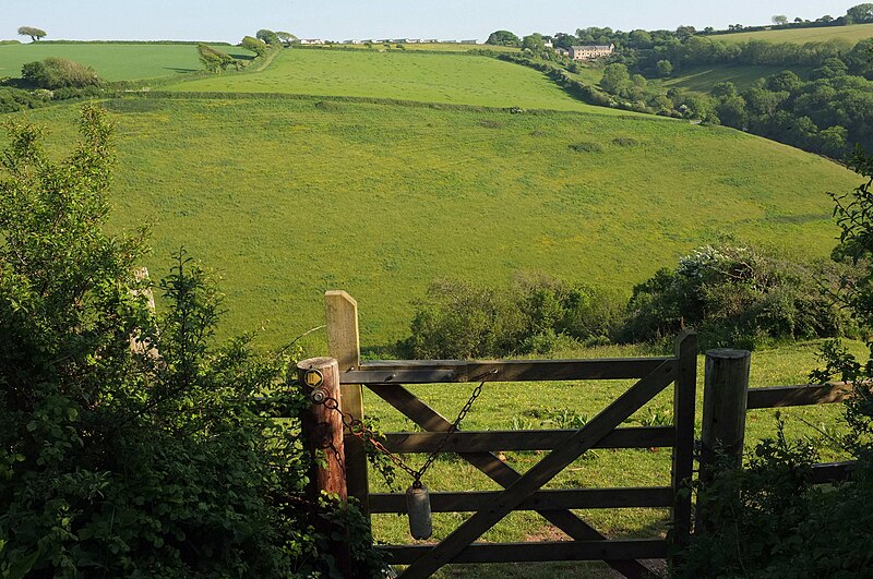 File:Across Stiddicombe - geograph.org.uk - 5790275.jpg