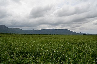 Theni district District of Tamil Nadu in India