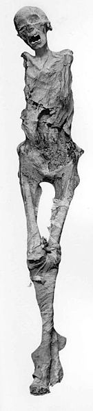 File:Ahmose-Meryetamen I. whole body.jpg