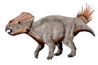 Ajkaceratops