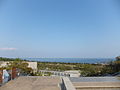 国営明石海峡公園 (57)