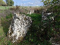 Allée couverte von Copierres