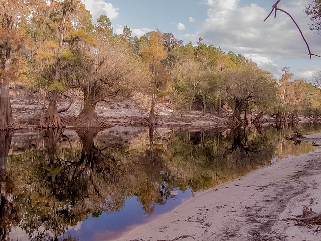 The Suwannee River near Lake City, Florida