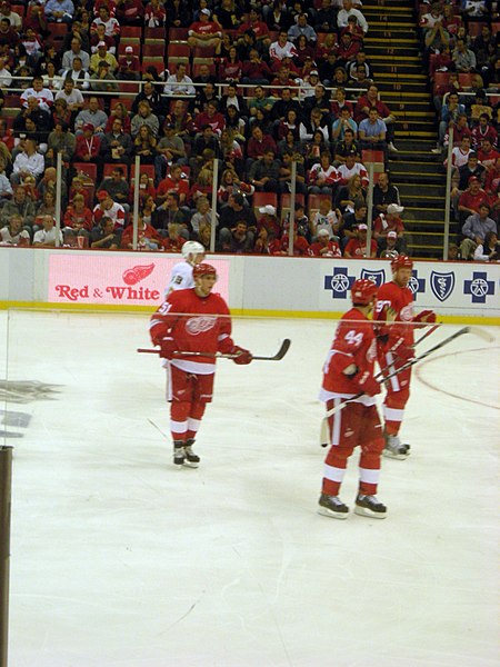 File:Anaheim Ducks vs. Detroit Red Wings Oct 8, 2010 30.JPG